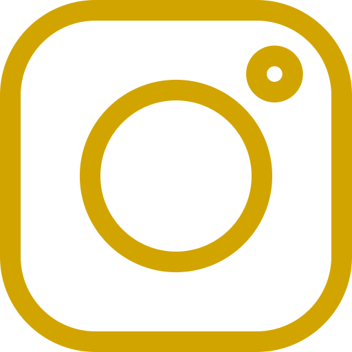 CactusGuest - Instagram - Cultura de Experiencias