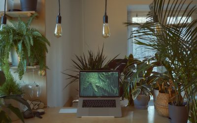 La Importancia del PMS en la Estrategia de Marketing de un Alojamiento