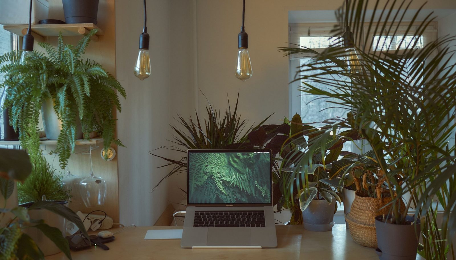 Cactusguest_rentals_PMS_Marketing_2 Cactusguest_rentals_PMS_Marketing_2